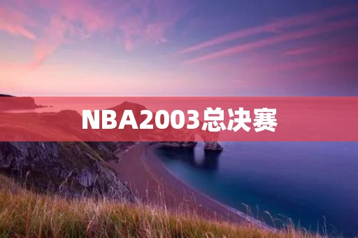 NBA2003总决赛:那个属于邓肯和马刺的夏天 NBA2003总决赛:那个属于邓肯和马刺的夏天