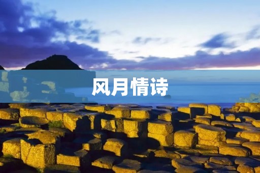 风月情诗：唯美的风景与情感交融