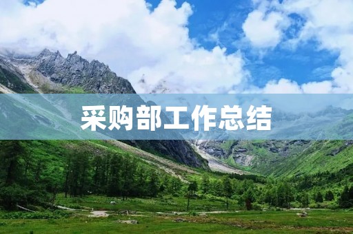 采购部工作总结:精细管理,优化流程,提升效率