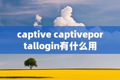 captive captiveportallogin有什么用