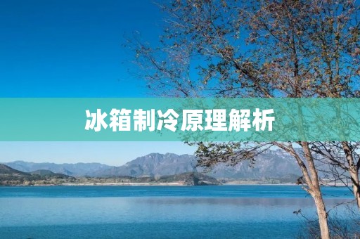 冰箱制冷原理解析:从压缩机到制冷剂循环 冰箱制冷原理解析:从压缩机到制冷剂循环
