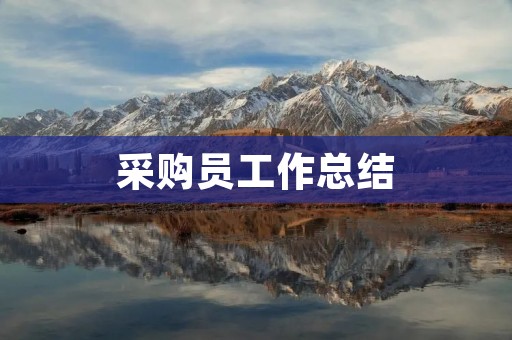 采购员工作总结:提高采购效率,优化采购流程