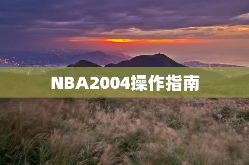 NBA2004操作指南:打造自己的完美球队 NBA2004操作指南:打造自己的完美球队