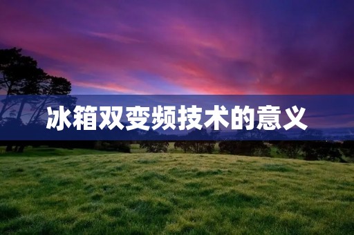 冰箱双变频技术的意义
