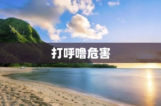 打呼噜危害:如何避免打呼噜对身体造成的损害? 打呼噜危害:如何避免打呼噜对身体造成的损害?