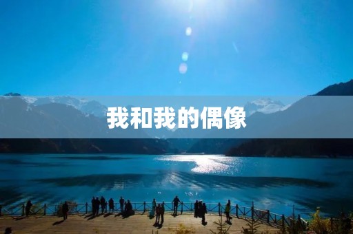 我和我的偶像 我和我的偶像