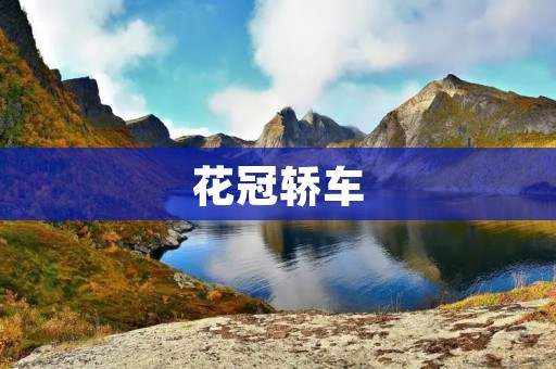 花冠轿车:时尚与品质的完美结合 花冠轿车:时尚与品质的完美结合