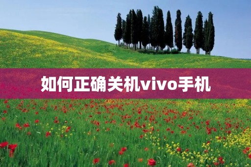 如何正确关机vivo手机 如何正确关机vivo手机