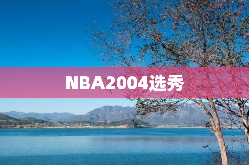 NBA2004选秀:一场传奇的开始 NBA2004选秀:一场传奇的开始