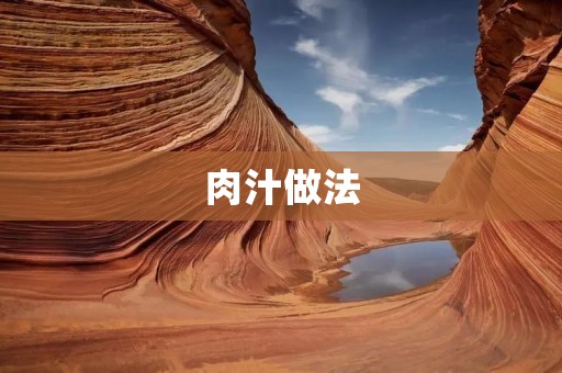 肉汁做法:让你的菜肴更加美味 肉汁做法:让你的菜肴更加美味