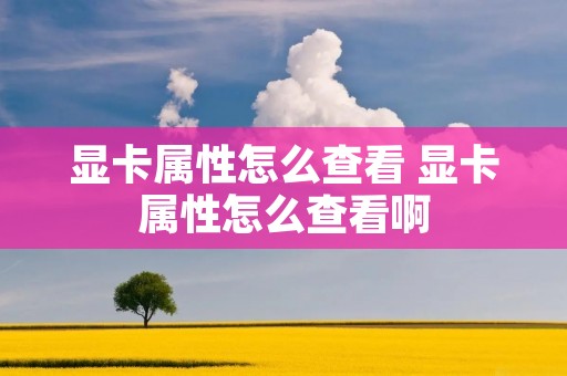 显卡属性怎么查看 显卡属性怎么查看啊