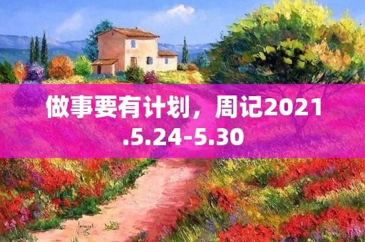 做事要有计划，周记2021.5.24-5.30