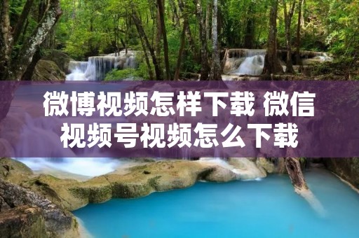 微博视频怎样下载 微信视频号视频怎么下载