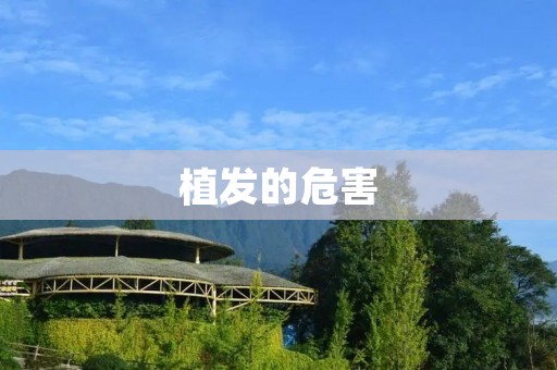 植发的危害：为了美丽而冒风险
