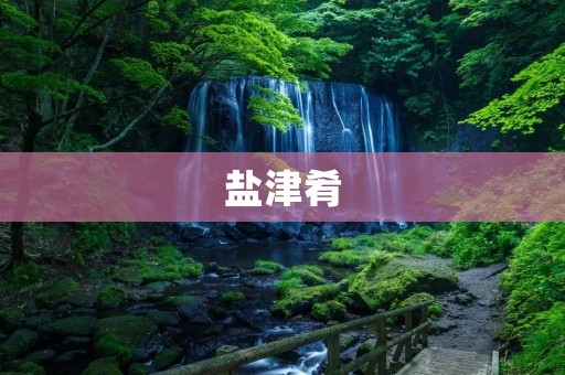 盐津肴：一道传统的川菜