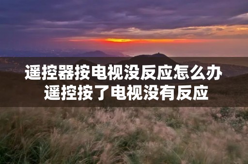 遥控器按电视没反应怎么办 遥控按了电视没有反应 遥控器按电视没反应怎么办 遥控按了电视没有反应