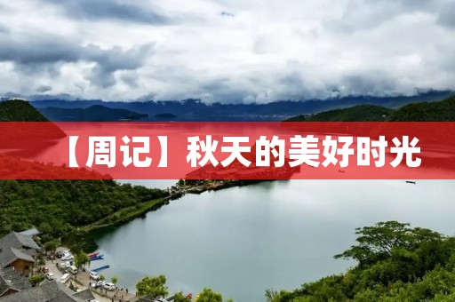 【周记】秋天的美好时光