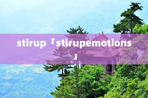 stirup「stirupemotions」