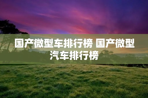 国产微型车排行榜 国产微型汽车排行榜