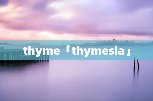 thyme「thymesia」