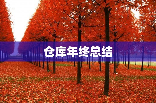 仓库年终总结:提高效率,优化管理