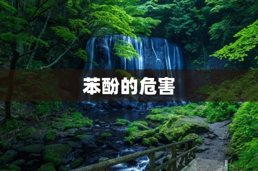 苯酚的危害:从化学到生态 苯酚的危害:从化学到生态