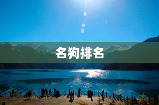 名狗排名：探究全球狗狗品种的排名与特点