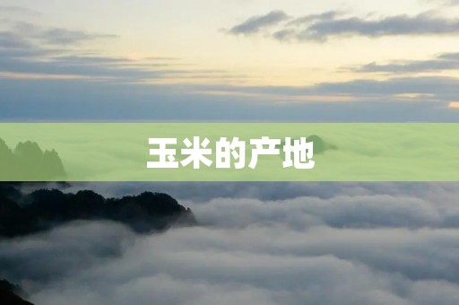 玉米的产地：全球范围内的分布情况与特点
