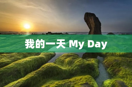 我的一天 My Day