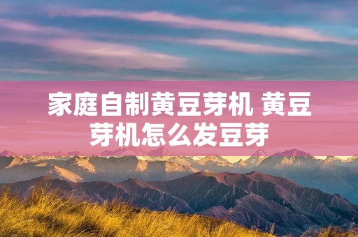 家庭自制黄豆芽机 黄豆芽机怎么发豆芽