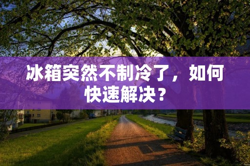 冰箱突然不制冷了,如何快速解决? 冰箱突然不制冷了,如何快速解决?