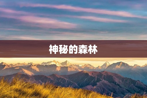 神秘的森林 神秘的森林