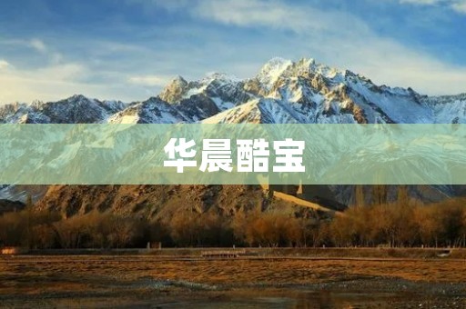 华晨酷宝:品质卓越,性能出众 华晨酷宝:品质卓越,性能出众