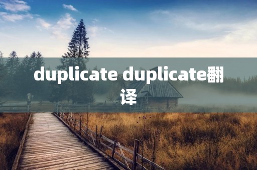 duplicate duplicate翻译 duplicate duplicate翻译