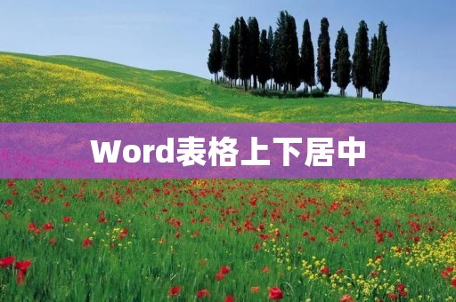 Word表格上下居中 Word表格上下居中