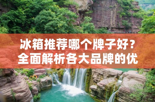 冰箱推荐哪个牌子好?全面解析各大品牌的优缺点 冰箱推荐哪个牌子好?全面解析各大品牌的优缺点