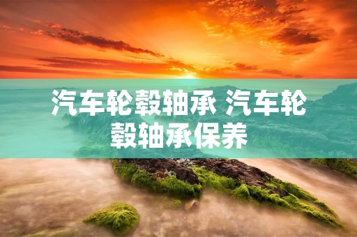 汽车轮毂轴承 汽车轮毂轴承保养