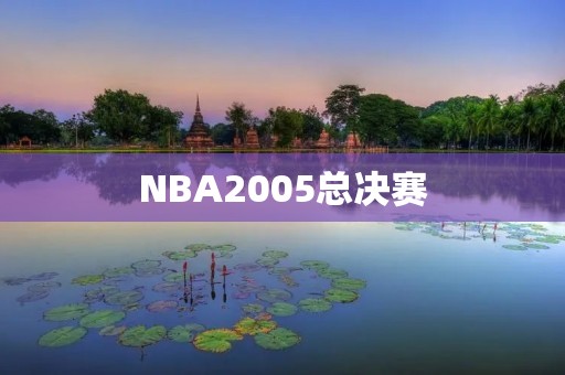NBA2005总决赛:马刺VS活塞 NBA2005总决赛:马刺VS活塞