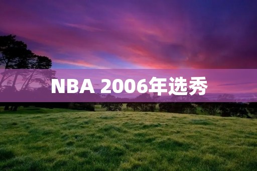 NBA 2006年选秀:勇士队的佳选 NBA 2006年选秀:勇士队的佳选