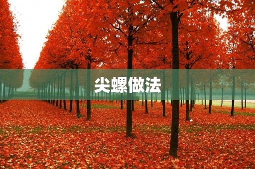 尖螺做法:口感鲜美的海鲜美食 尖螺做法:口感鲜美的海鲜美食
