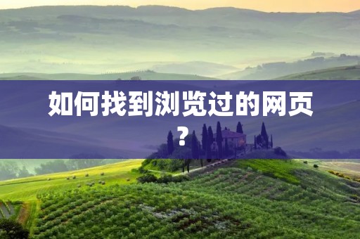 如何找到浏览过的网页？