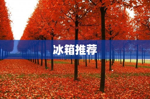 冰箱推荐:如何选择一款优质的冰箱? 冰箱推荐:如何选择一款优质的冰箱?