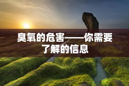 臭氧的危害——你需要了解的信息 臭氧的危害——你需要了解的信息