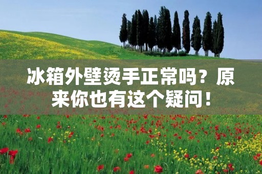冰箱外壁烫手正常吗?原来你也有这个疑问! 冰箱外壁烫手正常吗?原来你也有这个疑问!
