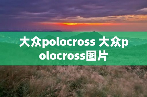 大众polocross 大众polocross图片