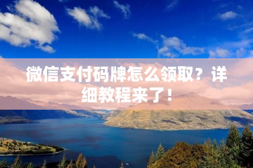 微信支付码牌怎么领取？详细教程来了！