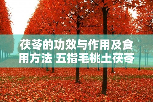 茯苓的功效与作用及食用方法 五指毛桃土茯苓的功效与作用及食用方法