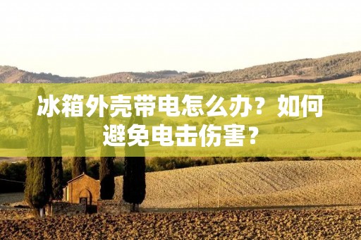 冰箱外壳带电怎么办?如何避免电击伤害? 冰箱外壳带电怎么办?如何避免电击伤害?