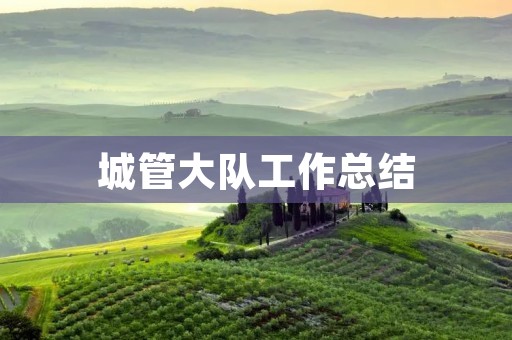 城管大队工作总结:加强城市管理,提高服务水平