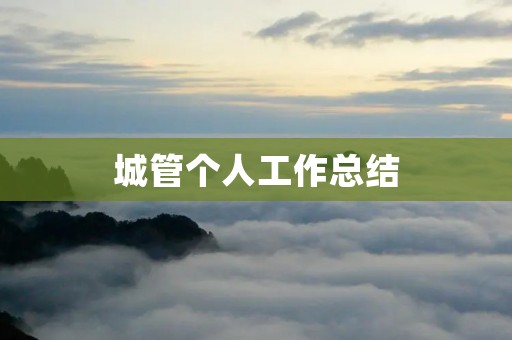 城管个人工作总结